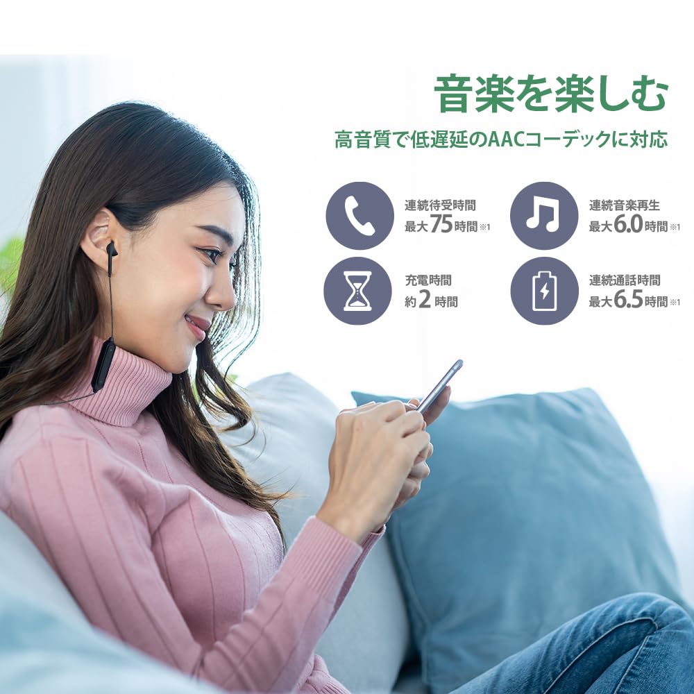 Premium Style Bluetooth Wireless Stereo Earphones with Tough Ear Black 5.0 Cable/Inner Type, (PG-BTE12TC1BK)