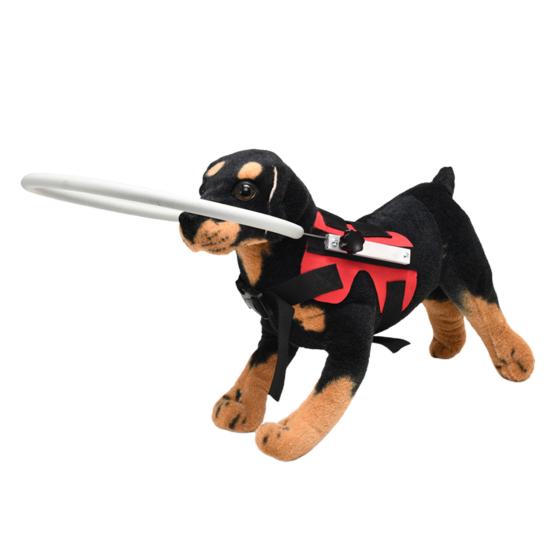 blind dog head protection