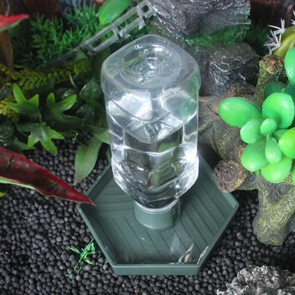 Turtle Food Bowl Anti-slip Reptiles Water Feeder Stable Plastic Automatic Water Dispenser Detachable Turtle Water Bowl Vivarium