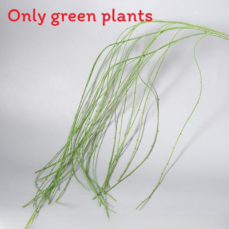 Liebm Deliciosa Monstera And Eucalyptus Citriodora Hook Green Decor Plants