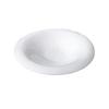 ZISIZ 10-inch White Porcelain Dinner Bowls (2-Pack)