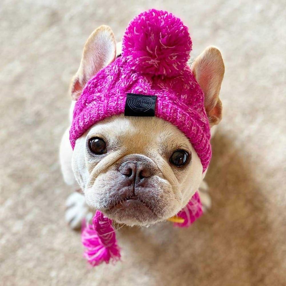 Warm Pet Dog Knitted Hat Windproof Headwear for Autumn Winter French Bulldog Hat for Dogs Chihuahua Hat Fluffy Ball Pet Hat