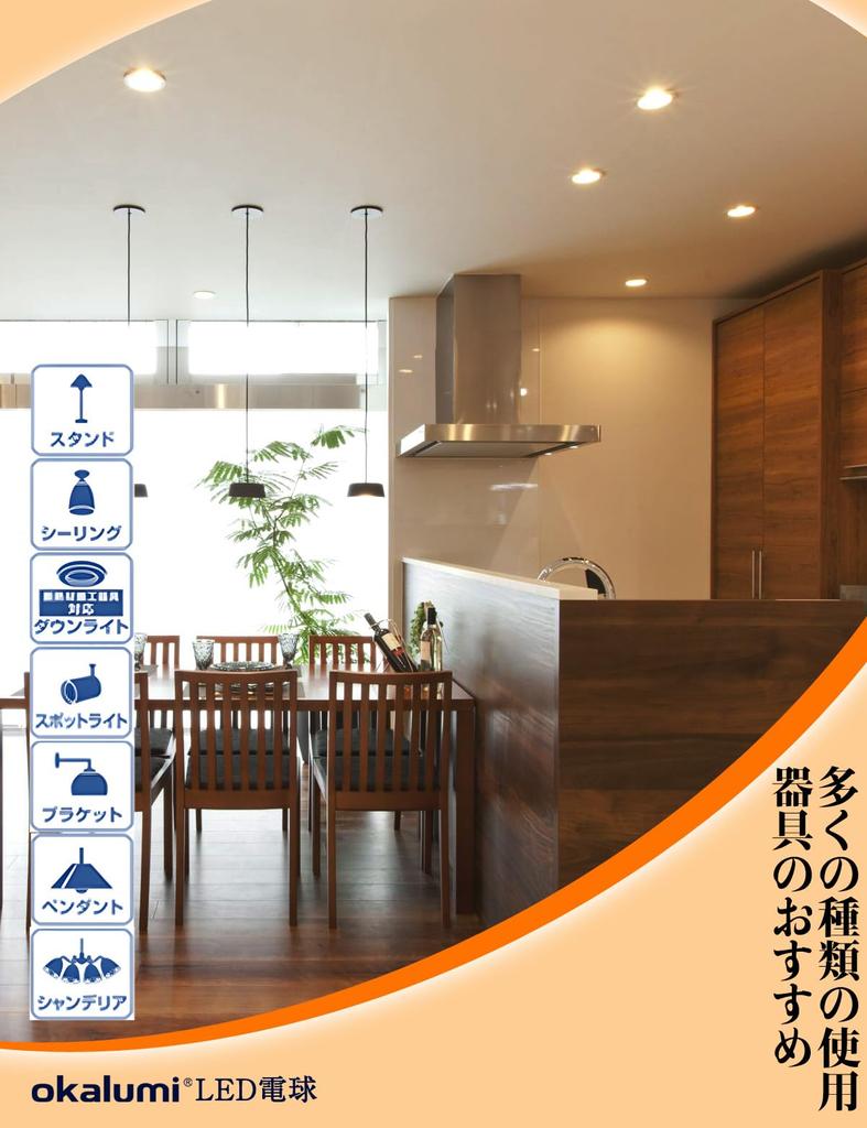 Okalumi LED Bulbs, 100W Equivalent, T-Shaped, E26 Base, Warm White, 1200lm, Omnidirectional, Recommended Replacement for EFD25 and EFD15 Bulb-Shaped