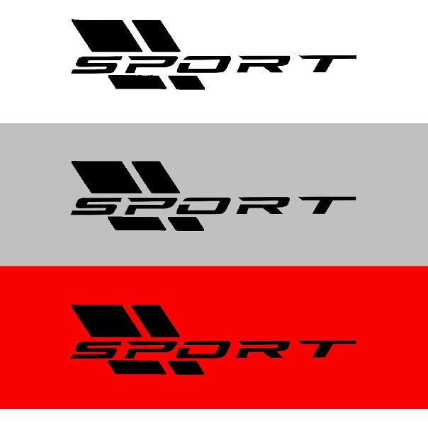 Zhizhong Car Sport Decal,16 Inch Vinyl Sticker Fit for All Cars Side (Matte Black)