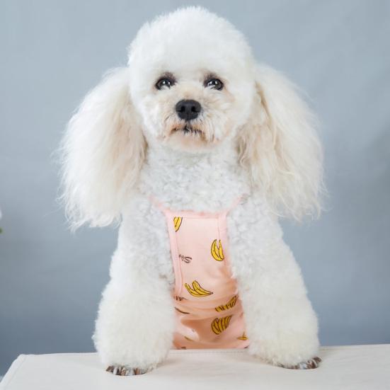 Pet Sanitary Diaper Adjustable Suspender Printed Reusable Dog Underwear Physiological Pants Shorts for Female Dogs
