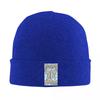 Smashing Pumpkins Warm Knitted Cap Winter Knit Bonnet Hat Skullies Beanies Hip Hop Caps for Unisex