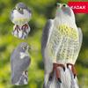 KADAX Pigeon Bird Scarer Large Falcon Bird