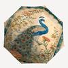 1pc peacock flowers umbrella with 8 iron ribs and a plastic handle, automatic opening and closing, and daily use.1109