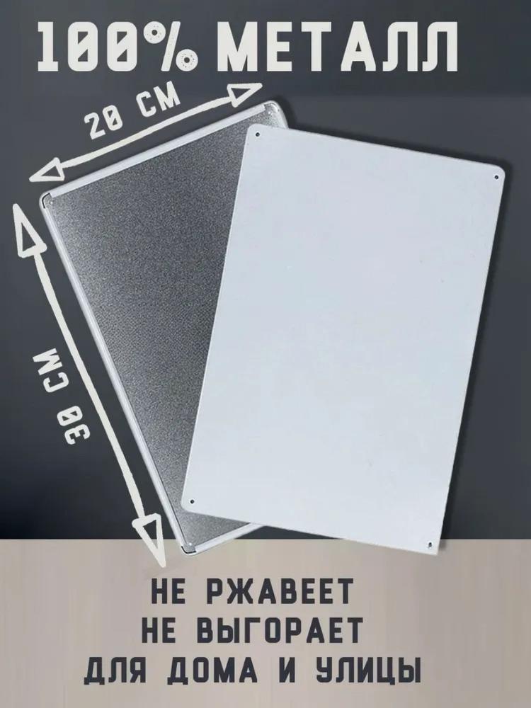 Vintage Metal Sign Office Decor 20x30 cm Tin Plate Poster
