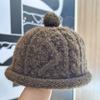 New Autumn and Winter Korean Style Knitted Hat for Women Cute and Fashionable Pullover Hat  Warm Curled Landlord Hat  Woolen Hat