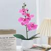 Aphrodite Simulation Phalaenopsis Flower Bonsai Home Living Decoration Room