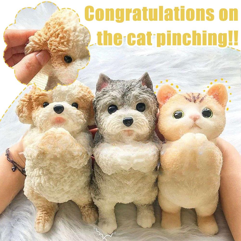 Congratulations Schnauzer Cat Teddy Simulation Large To Relaxing Pinch Cat Gift Schnauzer Congr O3P9