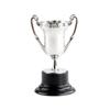 10 Pezzi Trofeo di Plastica Premio per Competizione Sportiva Mini Trofei Premio Vincitore Riutilizzabile Oggetti di Scena per Foto Forniture per Aula