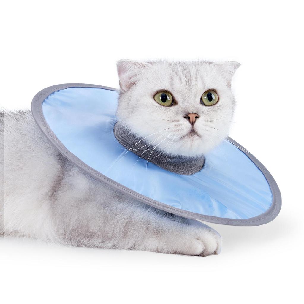White Cat Recovery Collar: Elizabethan Anti-Lick Post-Surgery Bib