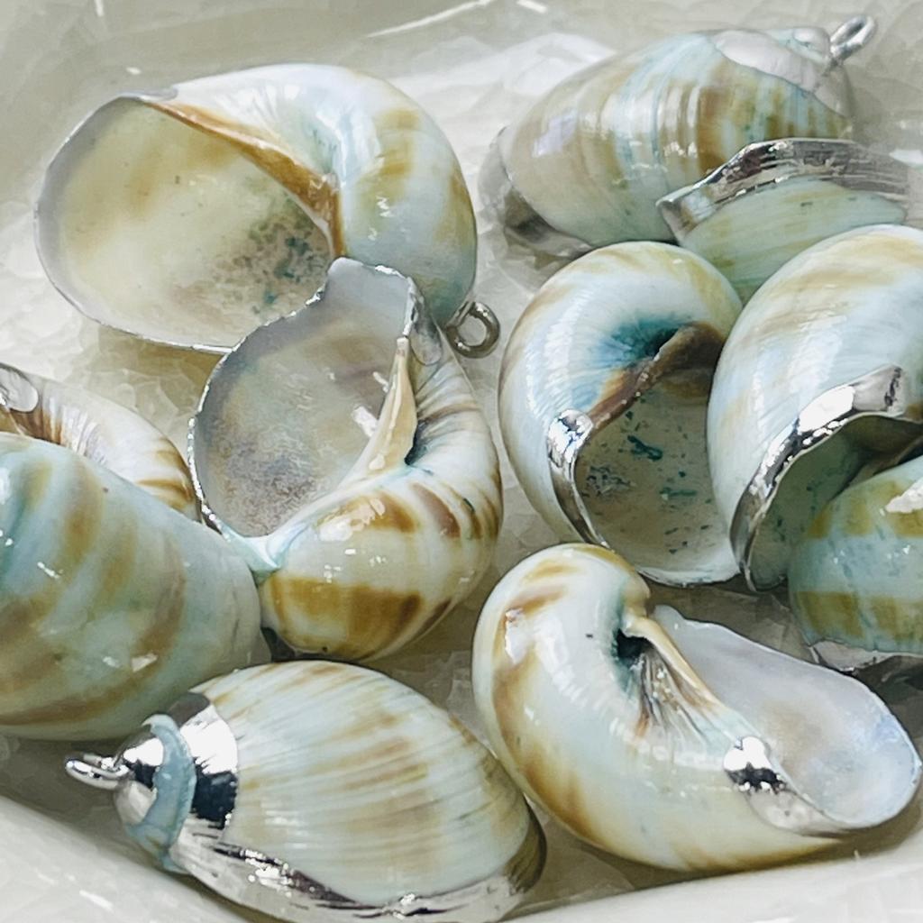 10Pcs, Natural Whelks Shell Zinc Alloy Silvery Edge Pendant Charms for DIY Necklace Accessories, Creative Jewelry Making, Women Men Bulk Crafts Gifts