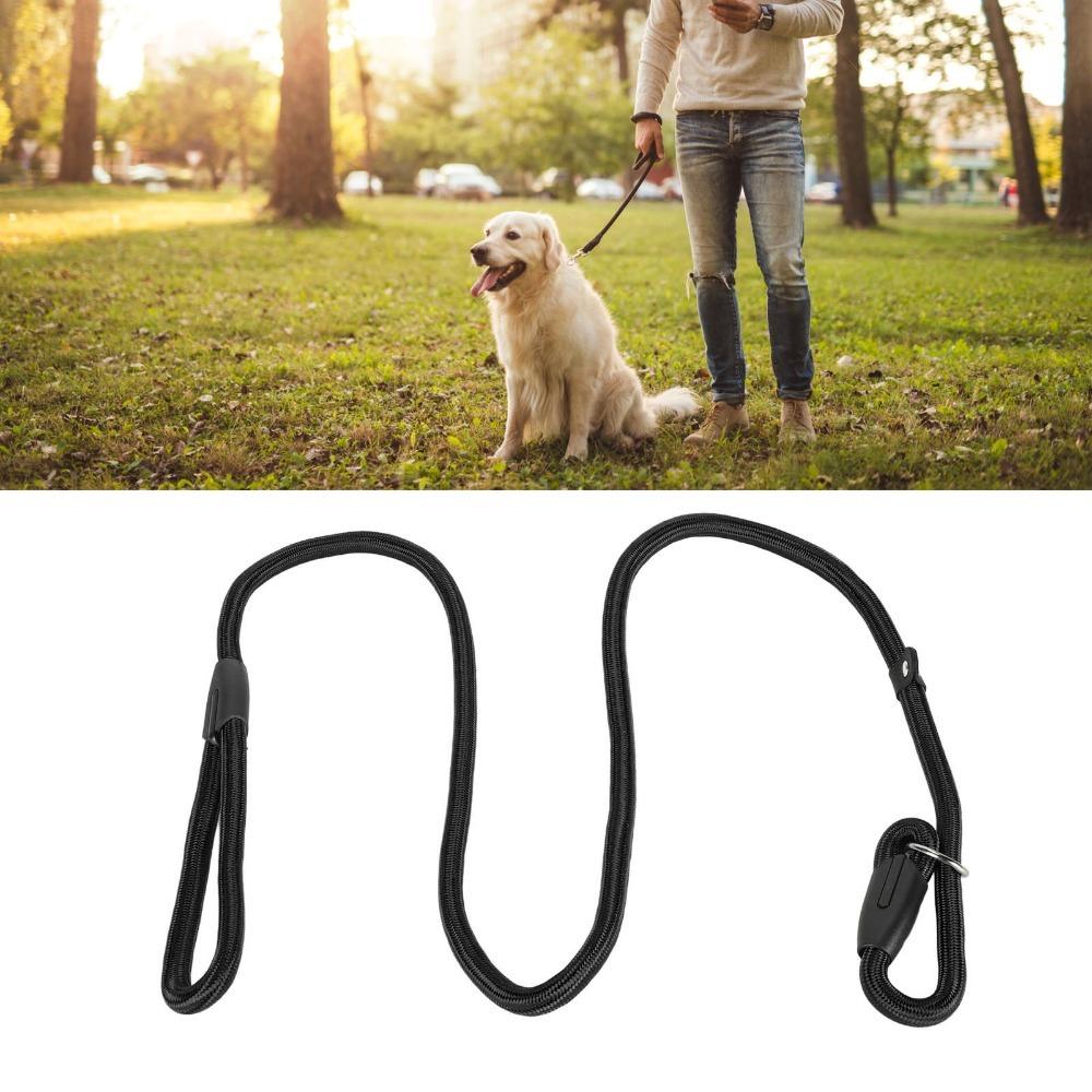 Nylon P Chain Leash Black No Pull Dog Lead Anti Pull Dog Walking Rope  Small Medium Dogs S