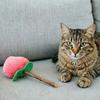 Doğal Kedi Çiğneme Çubuğu Gümüş Asma Yavru Kedi Diş Çıkarma Oyuncağı Peluş Meyve Şeklinde Kedi Nanesi Oyuncağı Evdeki Yavru Kedi Kaygı Giderici Diş Sağlığı