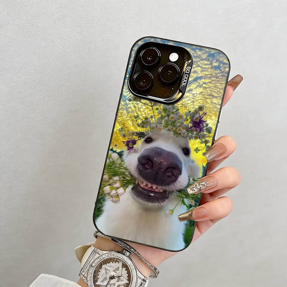 

Sunset & Dog Phone Case Phone Case For iPhone 17,16,15,14,13,12,11 Plus,Pro Max,XS,Colorful Silver Black Cover iPhone13ProMax