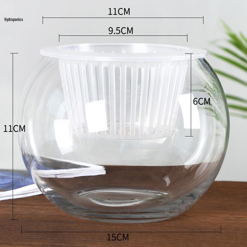 Modern Minimalist Hydroponic Glass Vase for Pothos & Green Plants - Living Room Desk Decor
