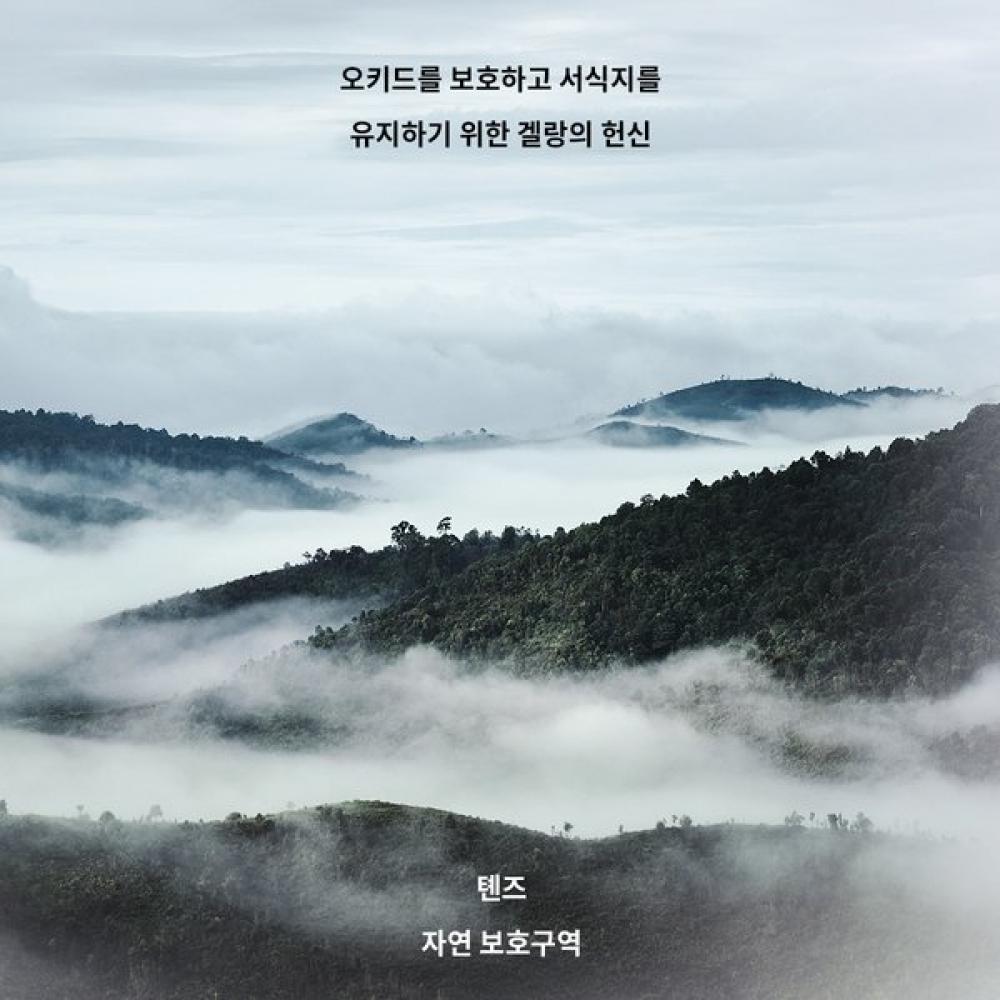 Guerlain Orchid Imperial Cleansing Foam 150ml