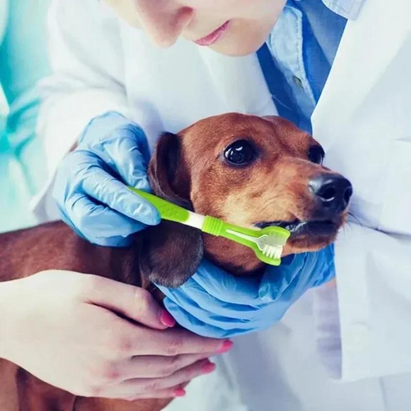 Pet Three Head Toothbrush Pet Dog Toothbrush Cat Toothbrush Cat and Dog Oral Cleaning Products Small Dog Soft Hair Toothbrush