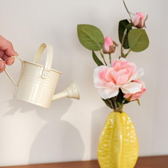 Metallgießkanne mit Brausekopf Langer Auslauf Gießkanne Kleine Gießkanne Indoor-Gartengerät für Zuhause Balkon Terrasse Büro Topfpflanzen