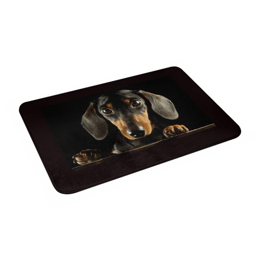 Cute Dachshund Dog Front Floor Door Entrance Mat Outdoor Puppy Pet Kitchen Bath Doormat Living Room Carpet Rug