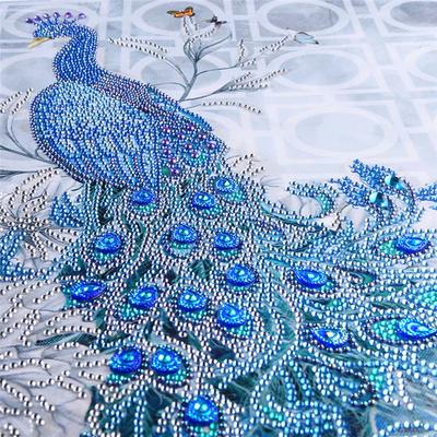 Diamante de imitación parcial Pavo Real 5D DIY pintura de diamante accesorios especiales de diamante, bordado de diamantes