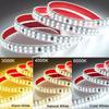 Double-row LED Strip 240LEDs/M 12MM Width SMD 2835 LED Strip IP68 Waterproof Warm/cool/White Light With EU Plug AC220V Flexible Cuttable Soft Lamp