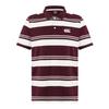 Men's Engineered Striped Polo Shirt