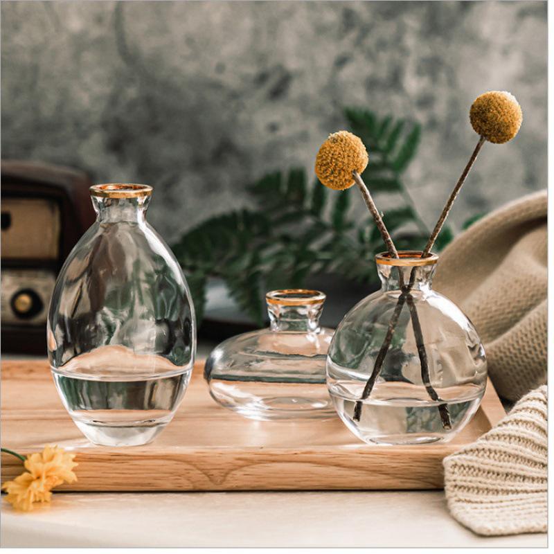 Elegant Mini Light Luxury Glass Vase Set: Creative Desktop Decor for Fresh Flowers In Living Rooms