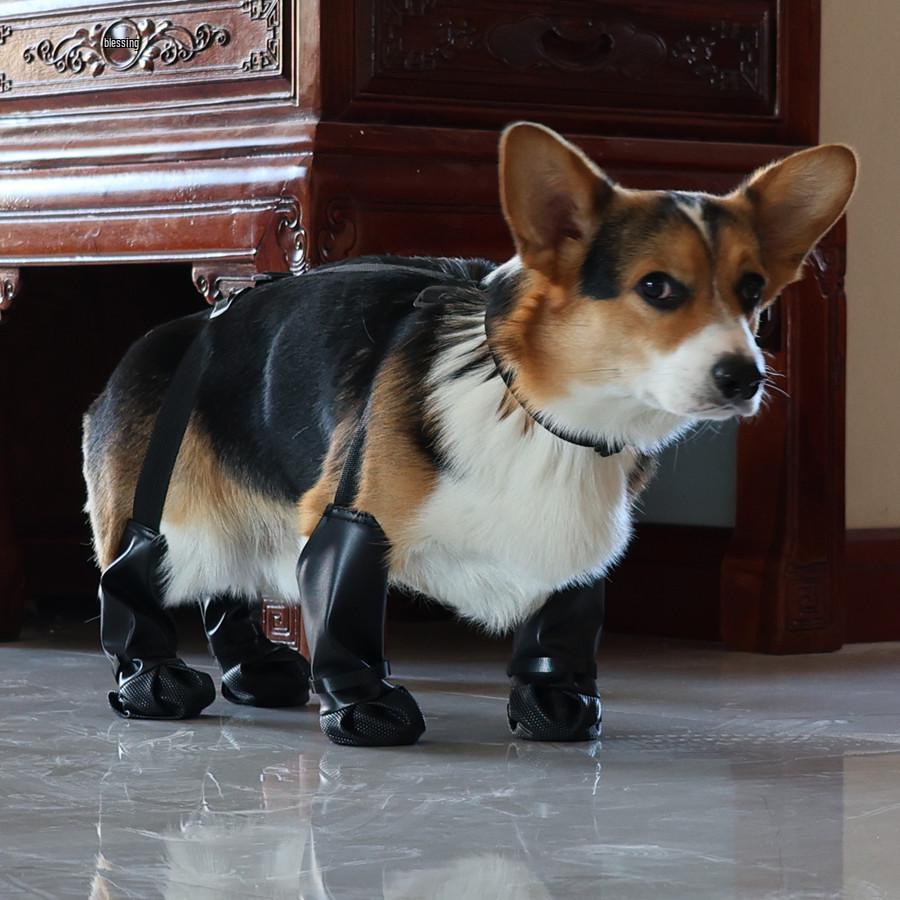 Dustproof Waterproof Pet Paw Protectors - All-Season Outdoor Dog Shoes
