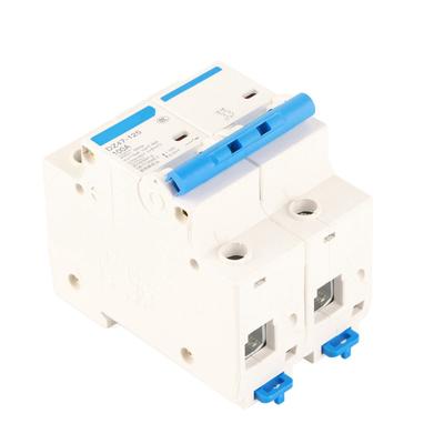 Miniature DZ47-125 2P Current Circuit Breaker 400V 80/100/125A Leakage Circuit Breaker Air Circuit Breaker Circuit Safety