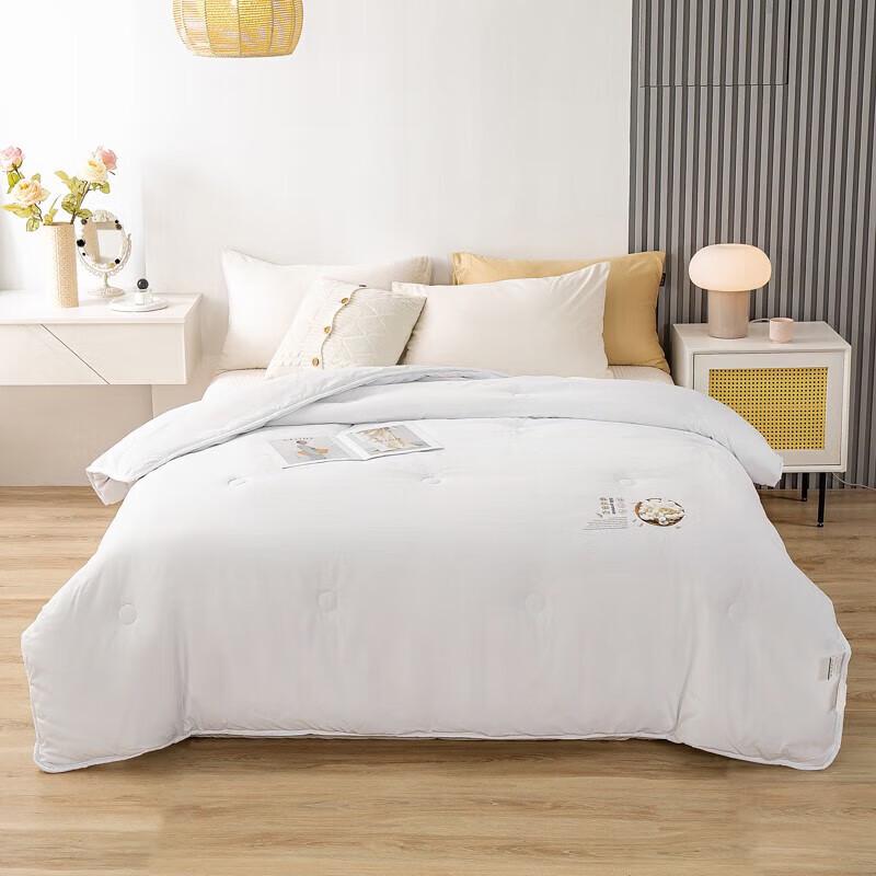 

Cmierf Kuect Mulberry Silk Quilt