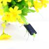 Jumping Solar Grasshopper Insect Toy For Children Science Experiment Hands On Learning Activity No Batteries Needed