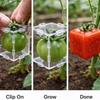 Mini Cube Triangle Fruit Shaping Mold Reusable Transparent Plastic Strawberry Tomato Growing Styling Tool Garden Diy