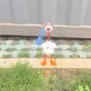 Funny Duck Figurine Ornaments Decors Duck Statue Craft Succulents Decorations Sculpture for Home Garden Outdoor