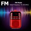 5W Channel Mini Speaker Radio-Receiver Tf-Card Fm-Radio Stereo Digital Micro Portable Power Off Memory