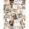 50pcs Cute Cat Stickers Laptop Handbook Cell Phone Case Decorative Stickers Back To School