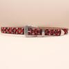European & American Leopard Rhinestone Leather Belt: Trendy & Versatile Men's Accessory