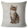 Cute Cat Pillowcase Decor Lovely Pet Animal Print Cojines Cushion Cover Polyester Pillow Case for Home Sofa Children Room 45x45