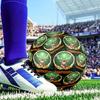 Jägermeister: The Spirit Of Tradition Soccer Ball Size 5 Soccer Ball, Machine-stitched, Durable, Suitable for Training and Matches Fan Gift