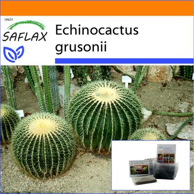 Garden In the Bag - Barrel Cactus / Mother In Law Seat - 40 Seeds - With Substrate In a Fitting Stand Up Bag - Echinocactus Grusonii