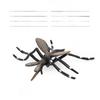 Insect Model Educational Kit With Wasps Ants Crickets For Nature Learning