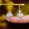 Lucky lock zircon fringed ear hook light luxury high-end earrings fashionable exquisite personalized earrings women