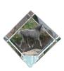 Percheron – Crystal Cube with a Horse Picture, Horse Picture In Crystal |