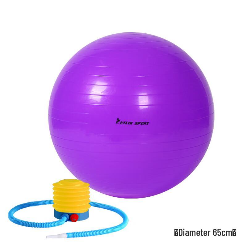 Qijun Fitness Yoga Ball