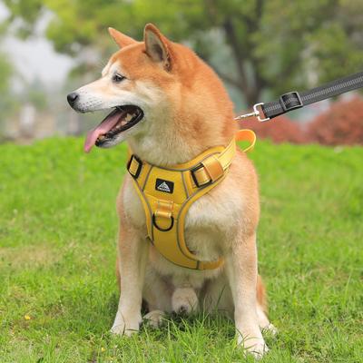 Szelki dla zwierząt domowych, odblaskowa kamizelka dla psa, regulowana smycz bezpieczeństwa, odpowiednia dla średnich i dużych psów, szelki dla psa Golden Retriever