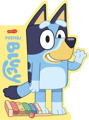 Meet Bluey. Board Books