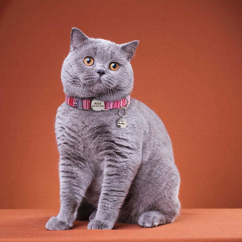 Quick Release Nylon Cat Collar Personalized Puppy Pet Kitten Safety Breakaway Necklace Customizable Adjustable For Cats Puppy